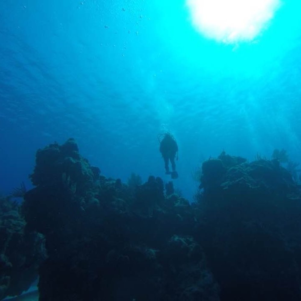 Meet your Posher, Kaiju